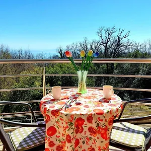 https://strarry-night-apartment-opatija-pobri-extra-big-bed-big.in-istria.net